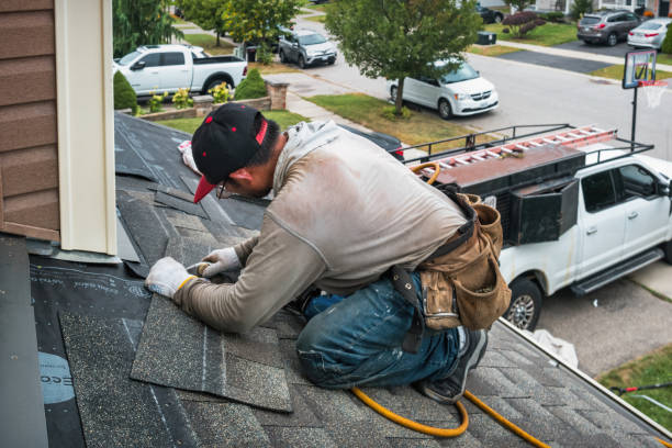 Professional Roof Inspection technician working in Clear Brook, VA